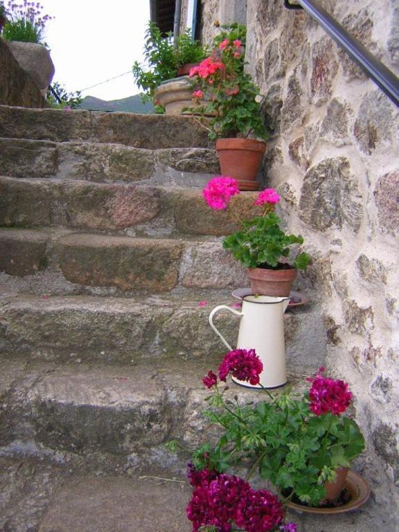 Bed and Breakfast Mas Casta Néa Thueyts Exterior foto